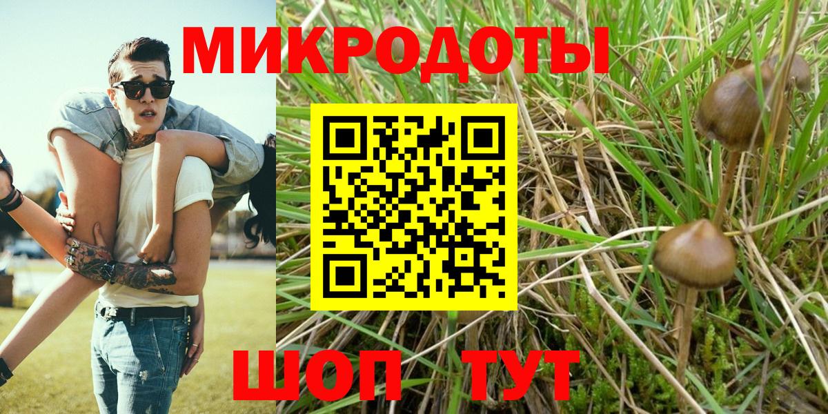 Галлюциногенные грибы Cubensis Вичуга