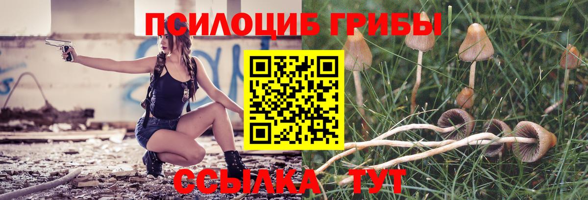 Псилоцибиновые грибы Magic Shrooms  Вход с VPN  Вичуга 